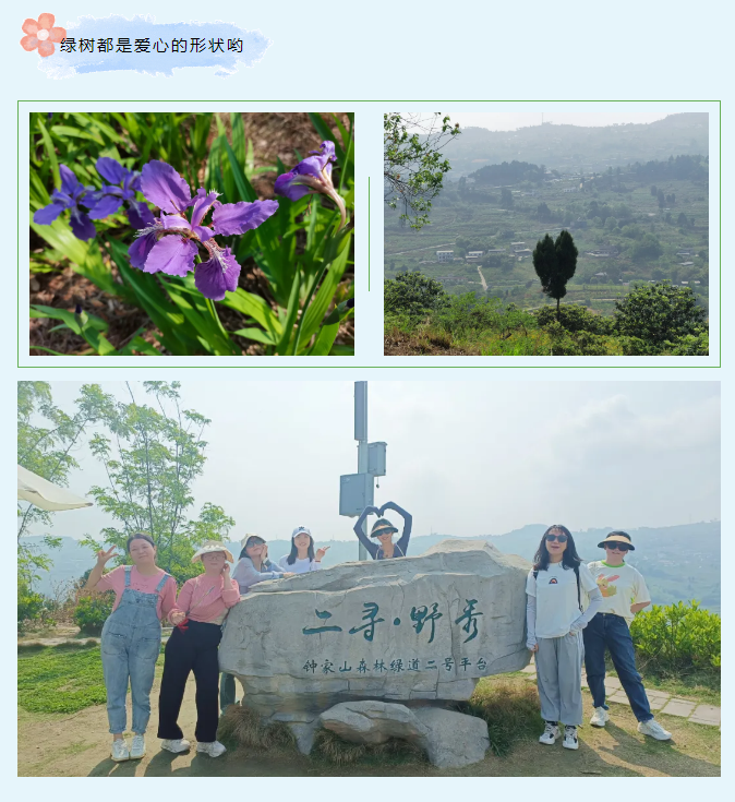 綠樹(shù)都是愛(ài)心的形狀喲.jpg